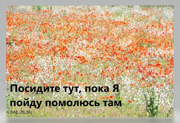 Посидите тут, пока Я пойду помолюсь там