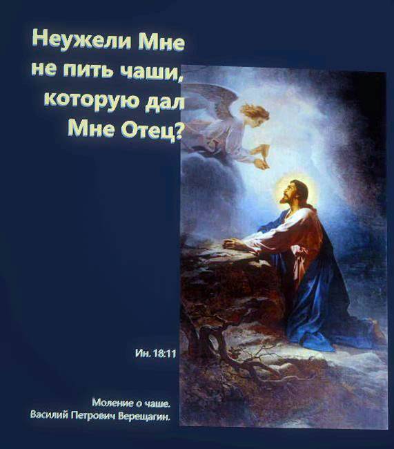 Неужели Мне не пить чаши, которую дал Мне Отец?