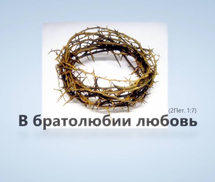 В братолюбии любовь